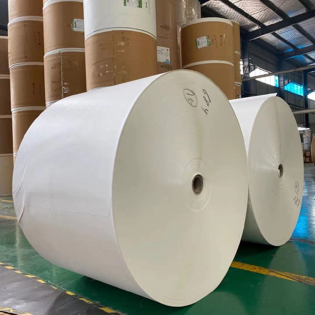 White PE Coated Paper Roll for Cup Paper Raw Materials